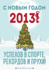 С Новым 2013 годом!