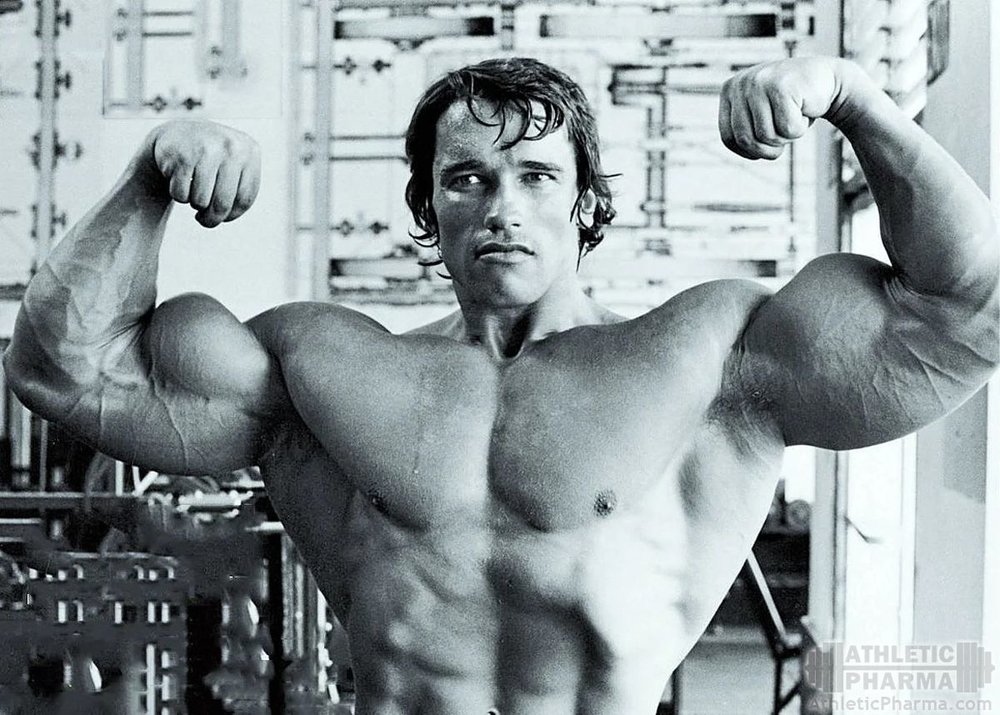 arnold_shwartzenegger_hands.jpg